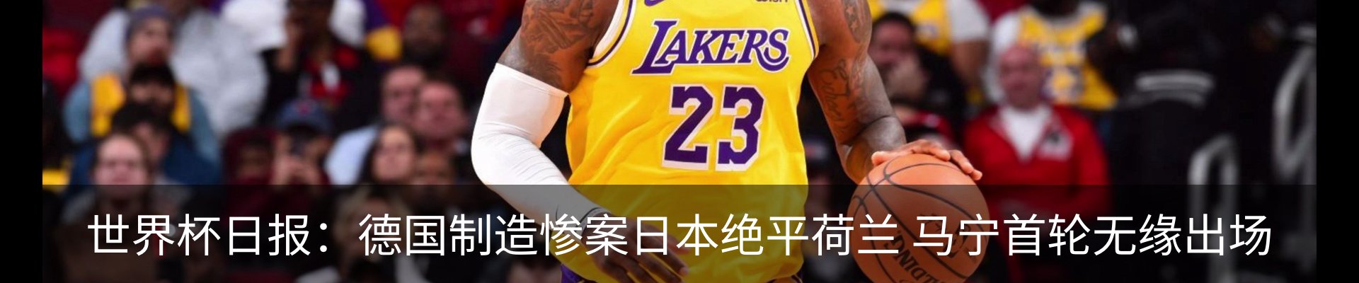 新闻动态
